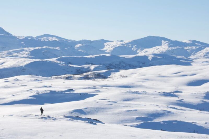 From Tromsø: Guided Snowshoe Hike Experience - Key Points