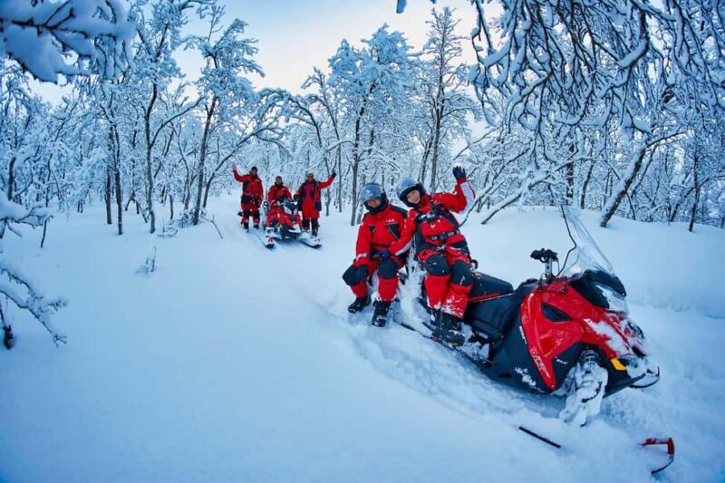 From Tromsø: Lyngen Alps Guided Snowmobile Tour/ afternoon - The Sum Up