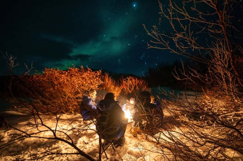 From Tromsø: Northern Lights Chase - Final Words