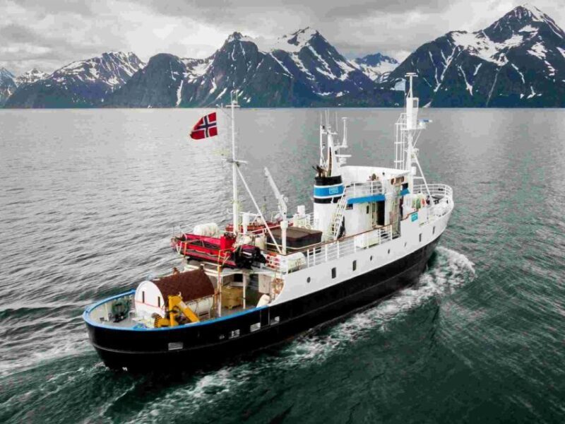 From Tromsø: Northern Lights Cruise on a Cozy Vintage Vessel - Key Points