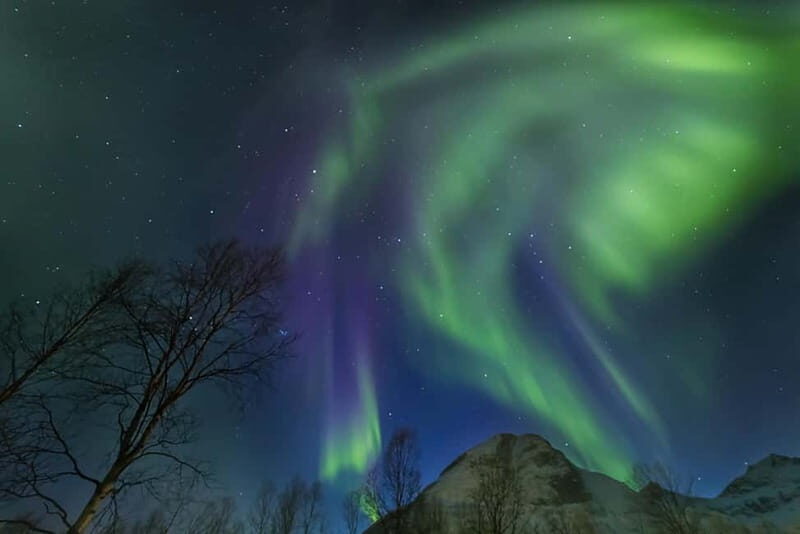 From Tromsø: Northern Lights Guided Bus Chase - The Experience in Detail
