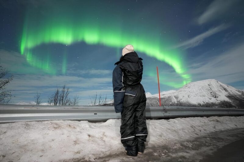 From Tromsø: Northern Lights Tour in Minibus with Photos - A North Norwegian Night Sky Adventure: Northern Lights Tour in Minibus with Photos