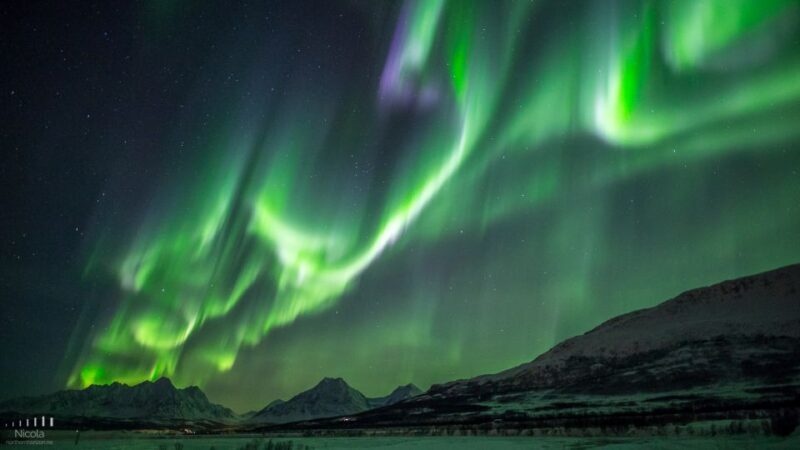 From Tromsø: Northern Lights Tour - Key Points