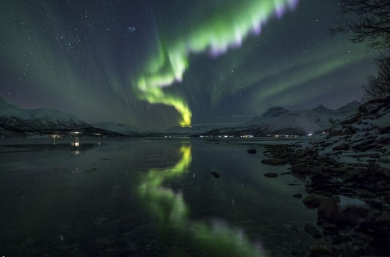 From Tromsø: Northern Lights Tour - Who Should Consider This Tour?