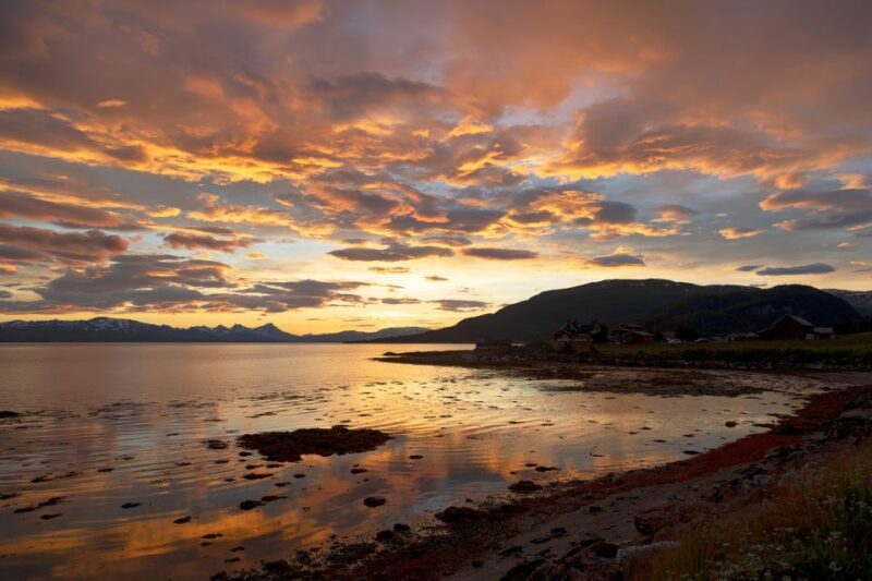 From Tromso: Norwegian Fjords Half-Day Tour - From Tromso: Norwegian Fjords Half-Day Tour — A Deep Dive into Arctic Splendor