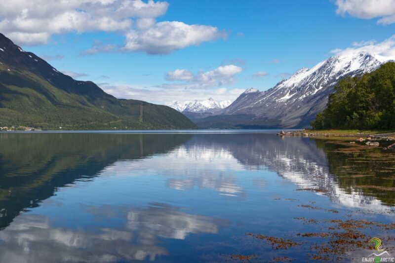 From Tromso: Norwegian Fjords Half-Day Tour - Key Points