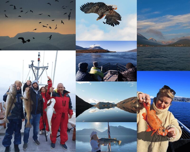 From Tromso: Polar Fishing Adventure - Who Will Love This Trip?