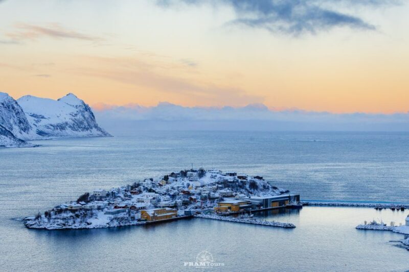 From Tromsø: Senja and Kvaløya Arctic Day Trip with Lunch - A Deep Dive into the Arctic Day Trip