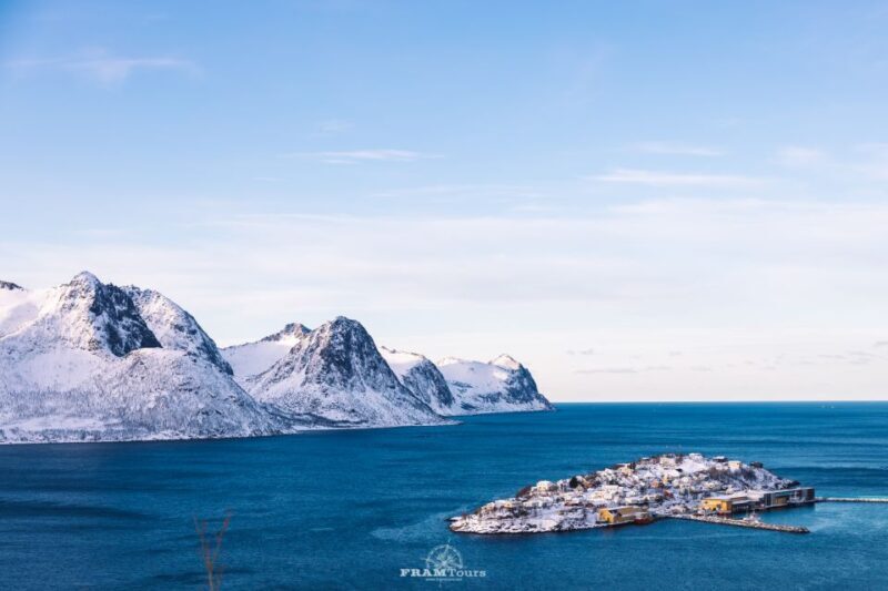 From Tromsø: Senja and Kvaløya Arctic Day Trip with Lunch - Who Would Love This Tour