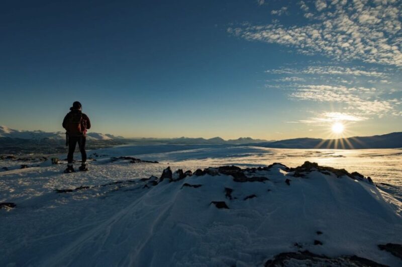 From Tromsø: Snowshoe Hike in the Arctic - Key Points