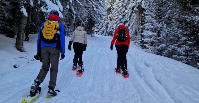 From Tromsø: Snowshoe Hike in the Arctic - Authentic Experiences and Genuine Recommendations