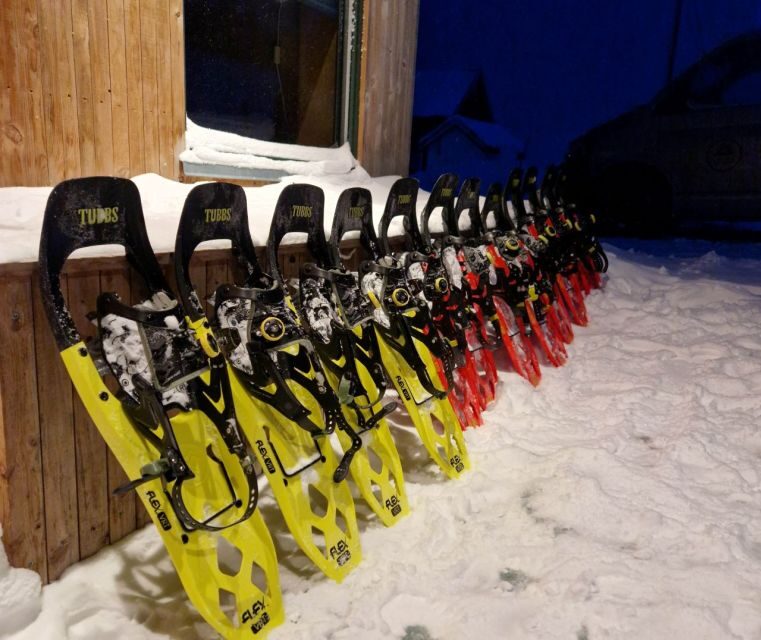 From Tromsø: Snowshoe Hike in the Arctic - Who Should Consider This Tour?
