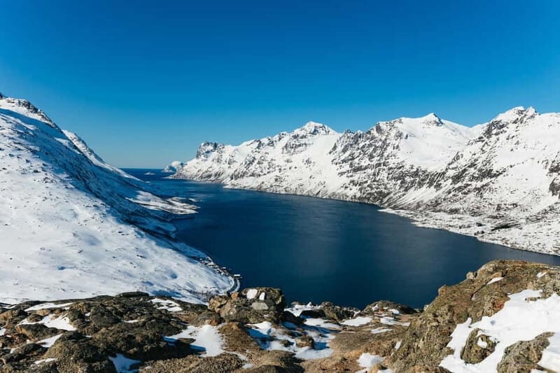 From Tromsø: Snowshoeing Hike with Picnic Lunch and Photos - Key Points