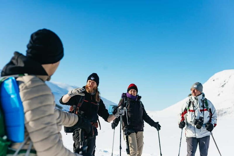 From Tromsø: Snowshoeing Hike with Picnic Lunch and Photos - Who Will Love This Tour?