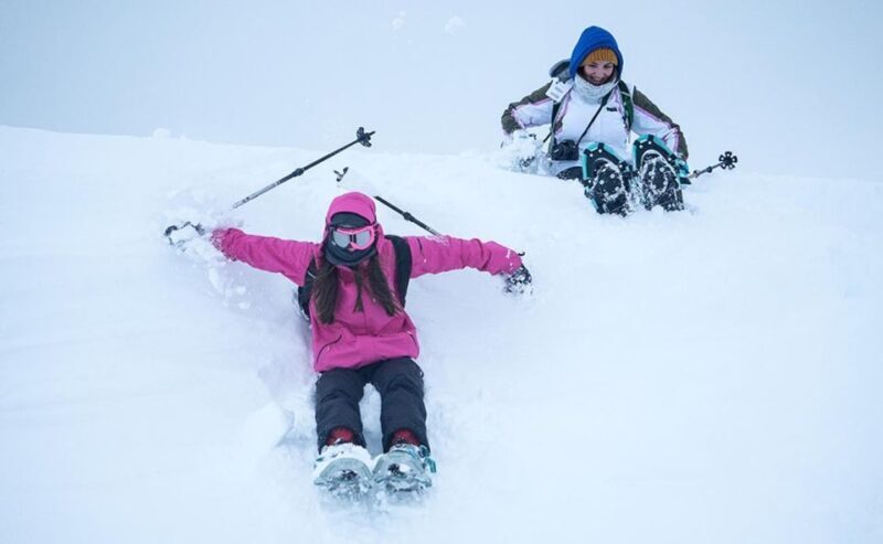 From Tromsø: Snowshoeing Hike with Picnic Lunch and Photos - Pricing & Value