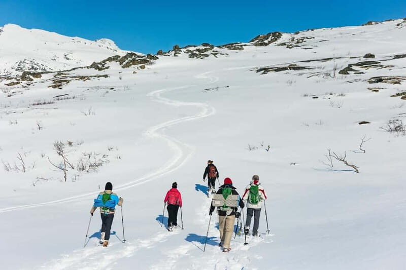 From Tromsø: Snowshoeing Hike with Picnic Lunch and Photos - Practical Tips for Your Snowshoeing Trip