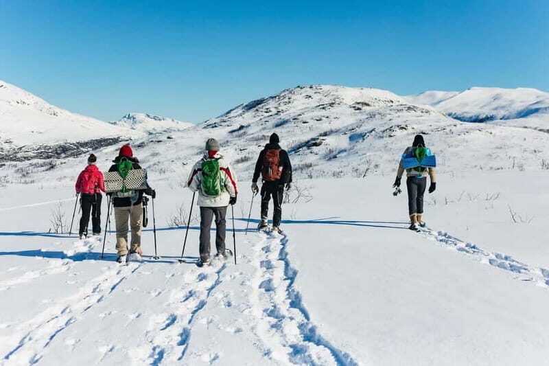 From Tromsø: Snowshoeing Hike with Picnic Lunch and Photos - FAQ