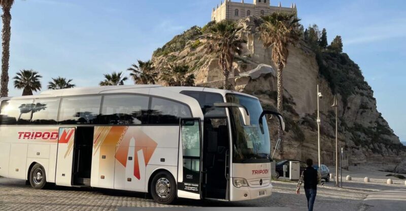 From Tropea: Reggio and Scilla Daily Tour - Who Would Enjoy This Tour?