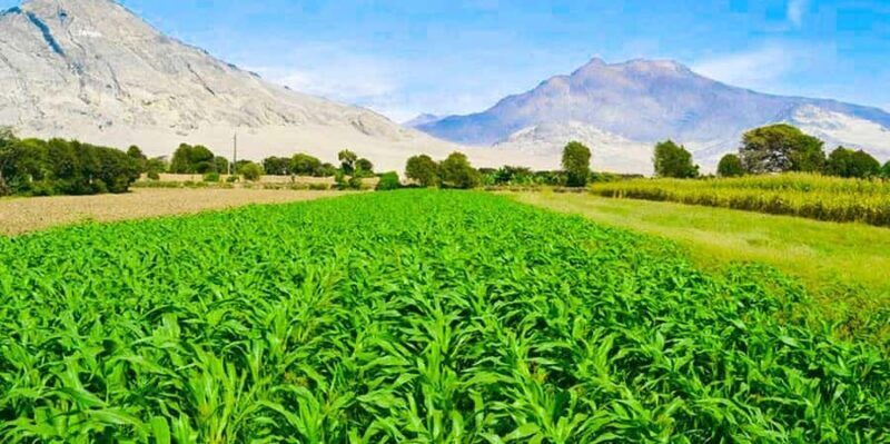 From Trujillo: Full-Day Tour with Museums - Why This Tour Offers Great Value