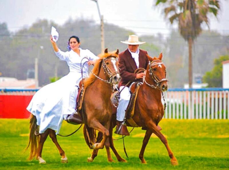From Trujillo: full day with paso horses and sailor show - Key Points