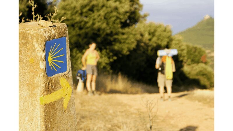 From Tui: 9-Day Guided Camino Walking Tour to Santiago - A Close Look at the 9-Day Itinerary