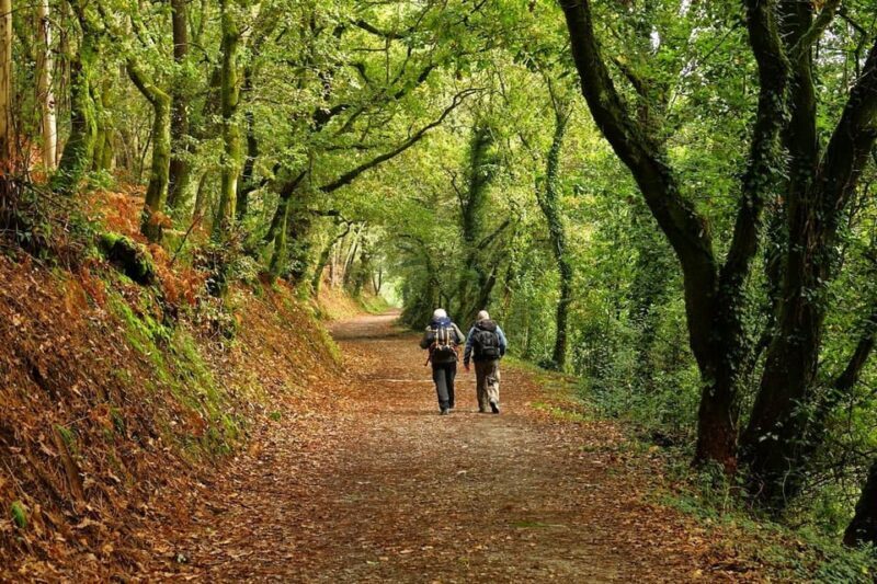 From Tui: 9-Day Guided Camino Walking Tour to Santiago - What Makes This Tour Stand Out