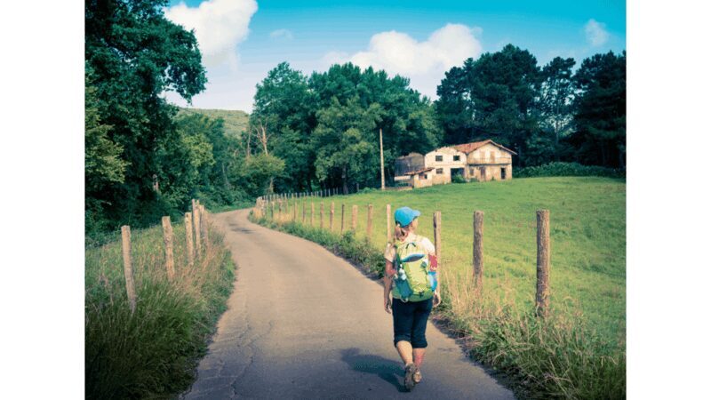 From Tui: 9-Day Guided Camino Walking Tour to Santiago - Practical Details and Considerations
