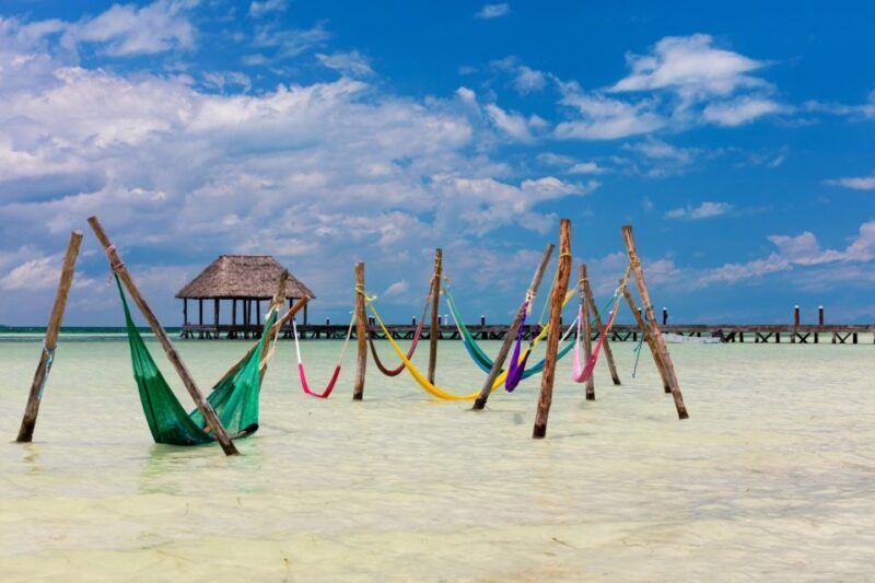 From Tulum: Holbox Island Full-Day Trip with Lunch - Isla Holbox and the Wildlife