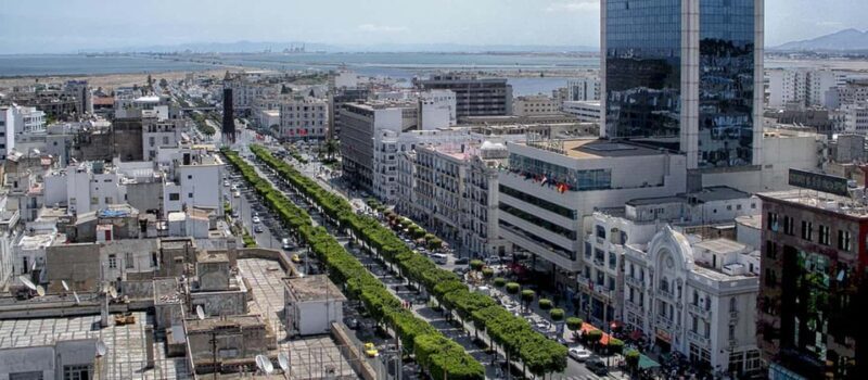 From Tunis/Sousse: Medina Carthage, Sidi Boussaid Tour - An In-Depth Look at the Tour Experience