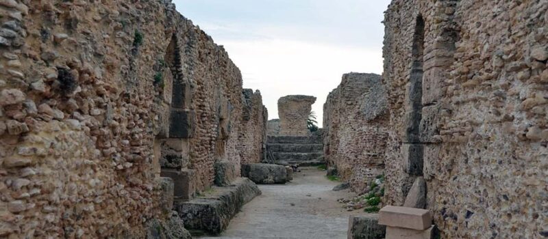 From Tunis/Sousse: Medina Carthage, Sidi Boussaid Tour - The Sum Up