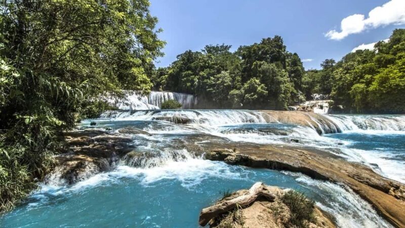 From Tuxtla Gutierrez: Palenque & Chiapas 4-Day Tour - FAQs