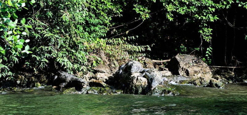 From Tuxtla:4 dias, Chiapas,Naturaleza,Cultura yMagia Guiado - The Sum Up