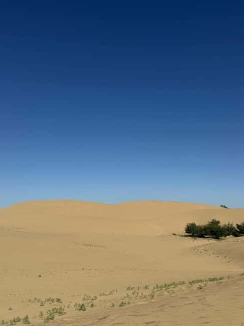 From UB: 2-Days Private Tour to Kharhorin and sand Semi Gobi - What Reviewers Say: Highlights and Concerns