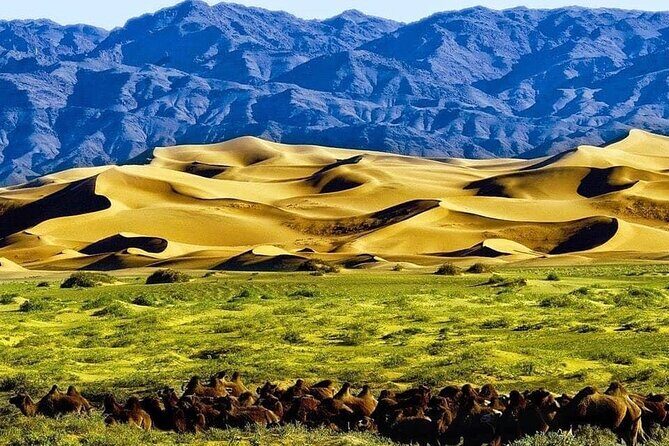 From UB: 2 Days Private Tour to Kharkhorin and Mini Semi Gobi - The Guide: The Heart of the Experience