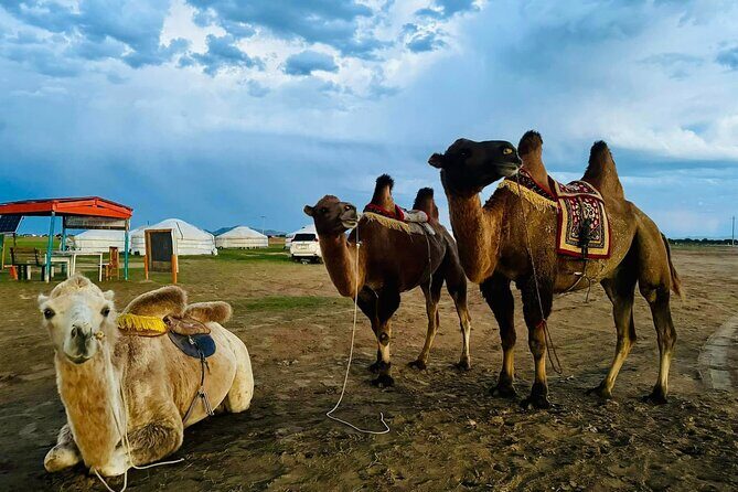 From UB: 2 Days Private Tour to Kharkhorin and Mini Semi Gobi - FAQ