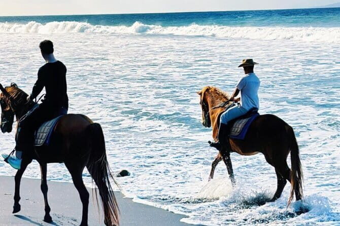 From Ubud 1 Hour Horse Riding at The Beach Experiences - Key Points