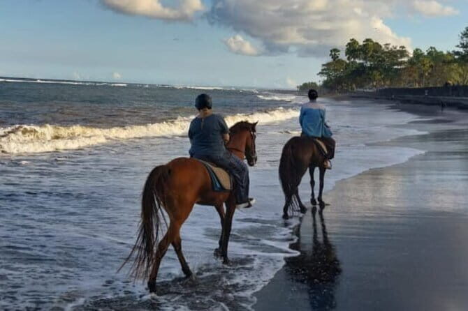 From Ubud 1 Hour Horse Riding at The Beach Experiences - Authenticity and Practical Considerations