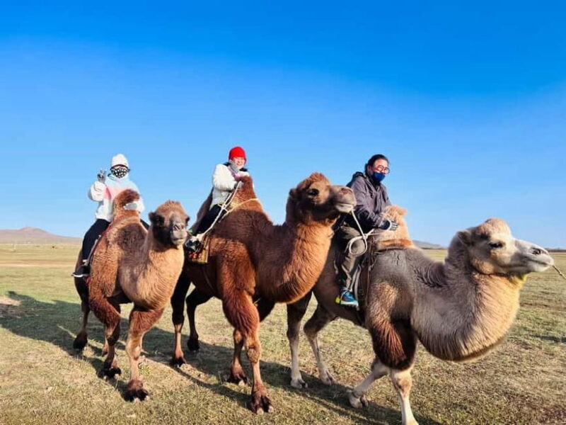 From Ulaanbaatar: 2-Day Kharkhorin and Elsen Tasarkhai Tour - An In-Depth Look at the 2-Day Tour Experience