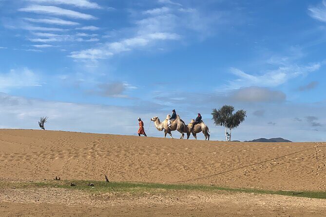 From Ulaanbaatar Central Mongolia Guided 3 Day Tour - A Closer Look at the Itinerary and Experience