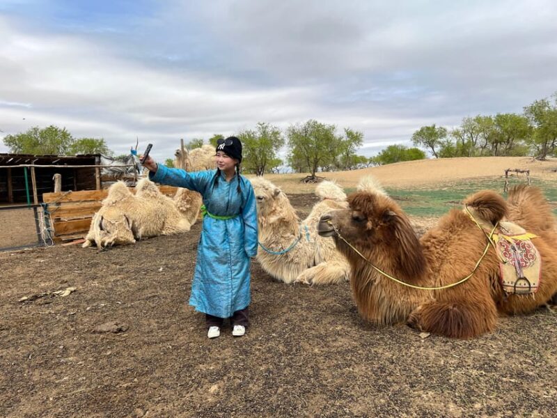 From Ulaanbaatar: Central Mongolia Guided 3-Day Tour - Key Points