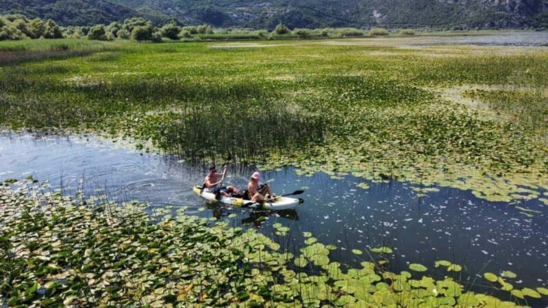 From Ulcinj: Skadar Lake Land and Boat Tour - FAQ