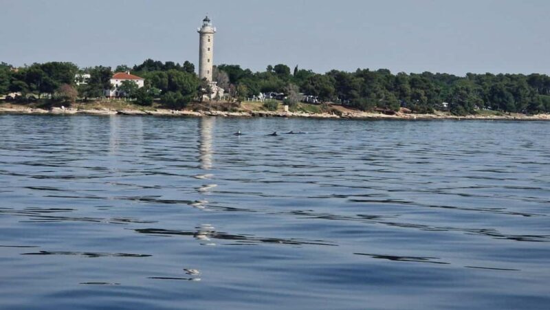 From Umag: Boat Tour to Savudrija with Swimming and Dolphins - An In-Depth Look at the Boat Tour Experience