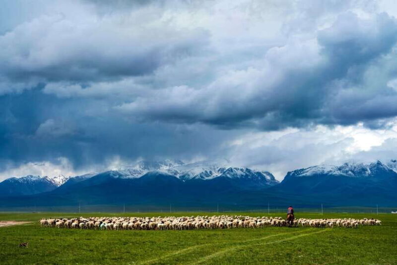 From Urumqi: 7-Day Silk Road Tour with Kashgar and Turpan - An In-Depth Look at the Silk Road Journey