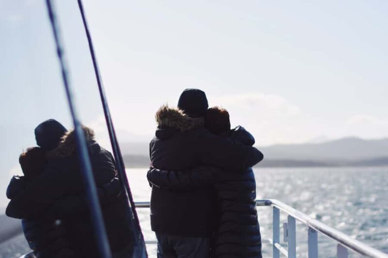 From Ushuaia: Beagle Channel Catamaran Tour - Wildlife and Birdwatching: Close Encounters