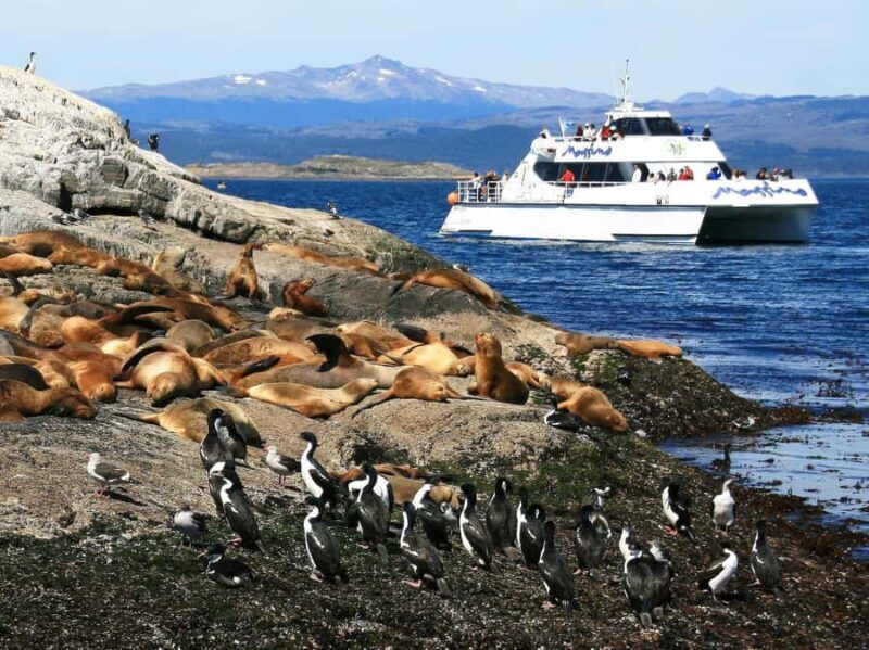 From Ushuaia: Beagle Channel Yacht Sailing Tour - An In-Depth Look at the Beagle Channel Yacht Sailing Tour