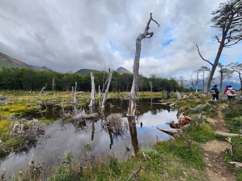 From Ushuaia: Tierra del Fuego Emerald Lagoon Trekking Tour - Key Points