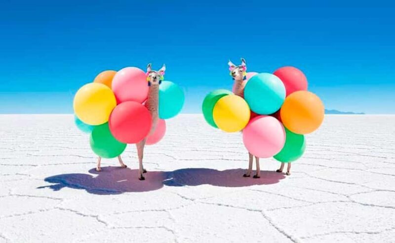 From Uyuni: 1-Day Uyuni Salt Flats and Incahuasi Island - Who Should Consider This Tour?