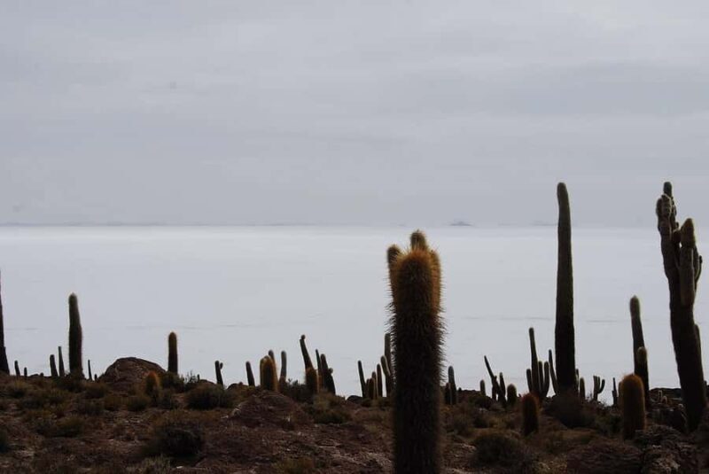 From Uyuni: 3-Day Salt Flats and Lagoons Tour with - A Closer Look at the 3-Day Uyuni Salt Flats and Lagoons Tour