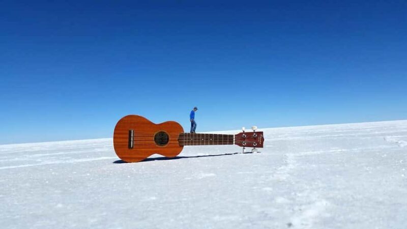 From Uyuni: Adventure to Uyuni Salt Flats-Tour 2Days/1Night - The Sum Up