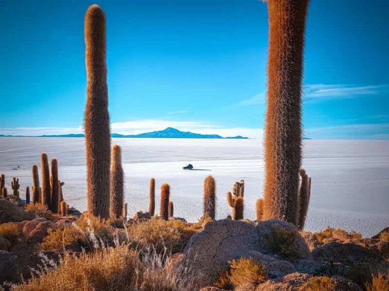 From Uyuni: Full-Day Guided Trip to Salar de Uyuni - Key Points
